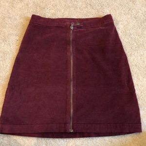 Velvet madewell skirt